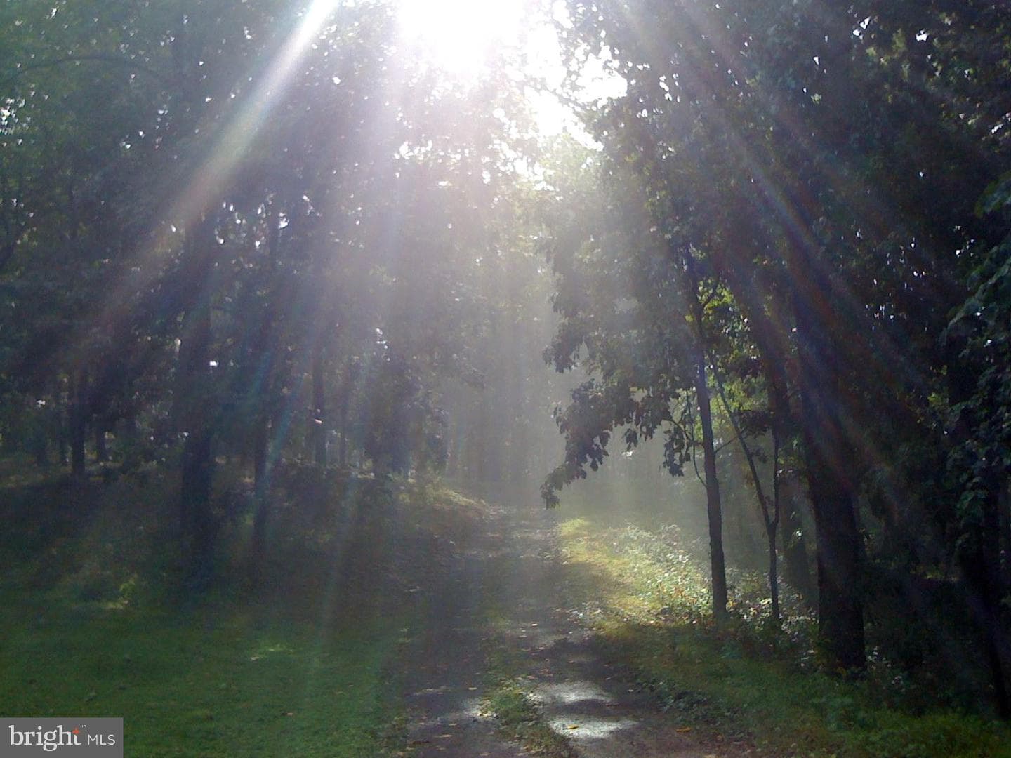 200 Fogg Mountain Lane photo 41
