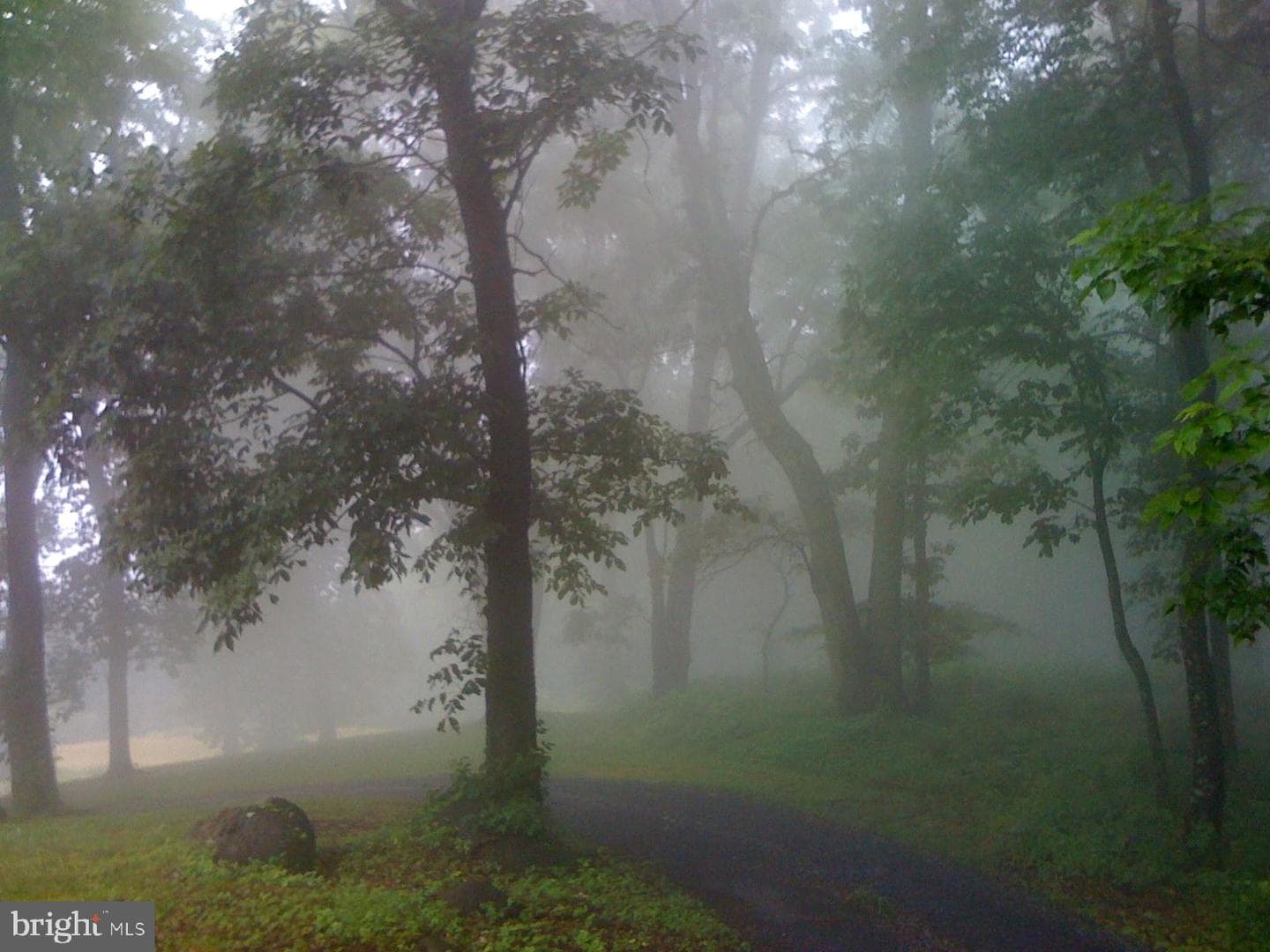 200 Fogg Mountain Lane photo 42
