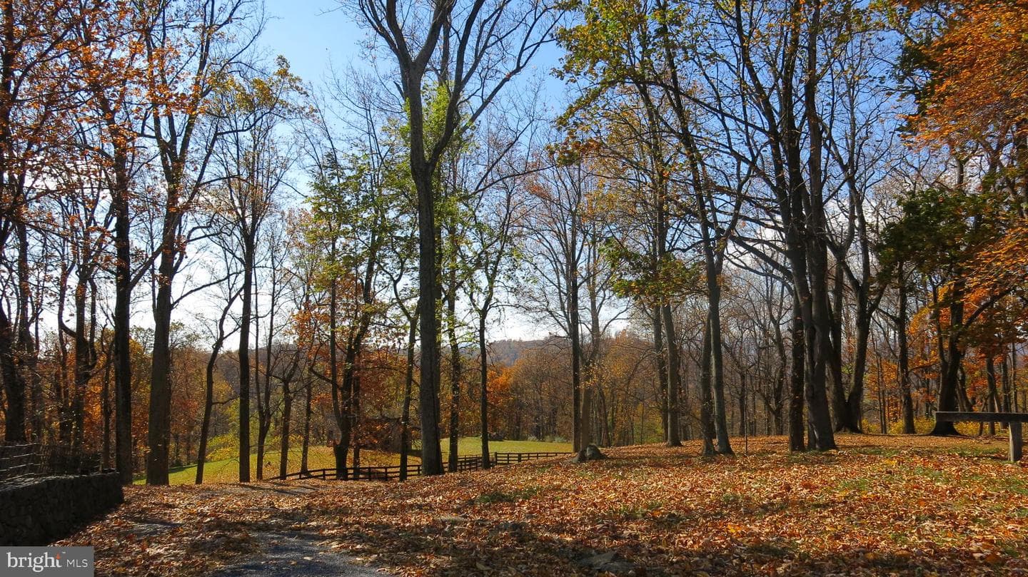 200 Fogg Mountain Lane photo 9