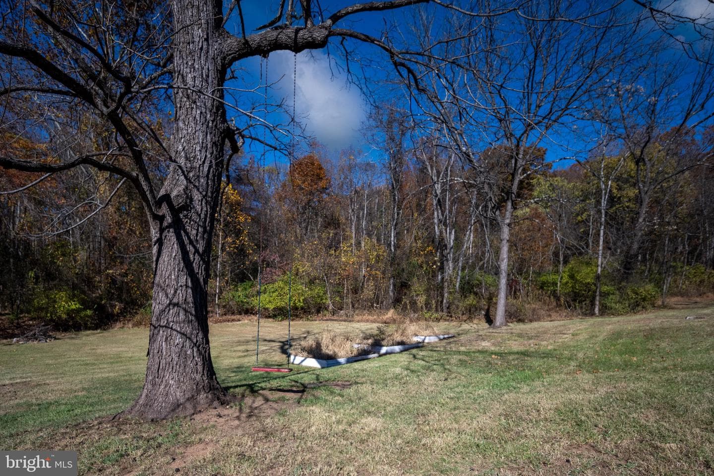 560 Richmond Road photo 117