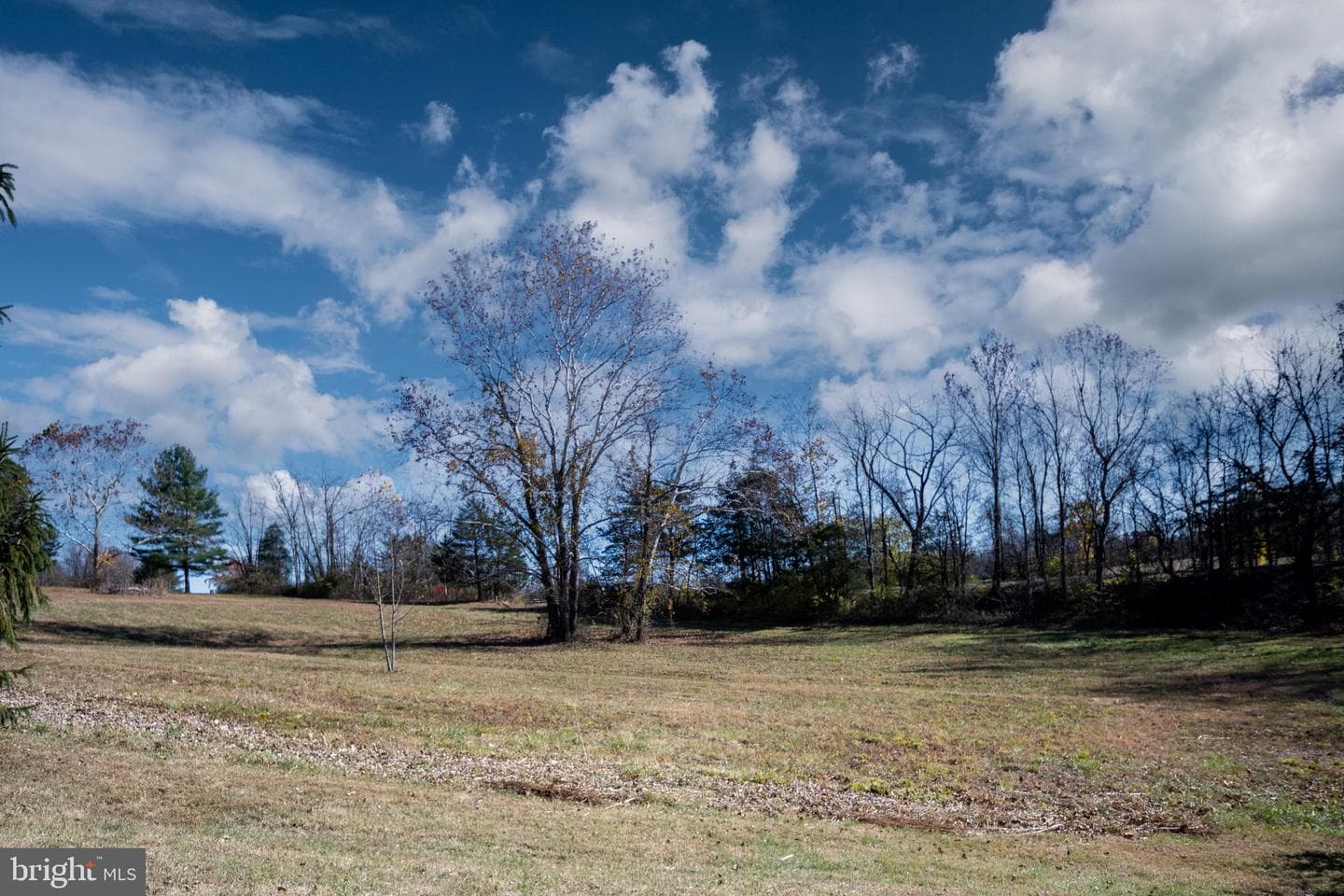 560 Richmond Road photo 128