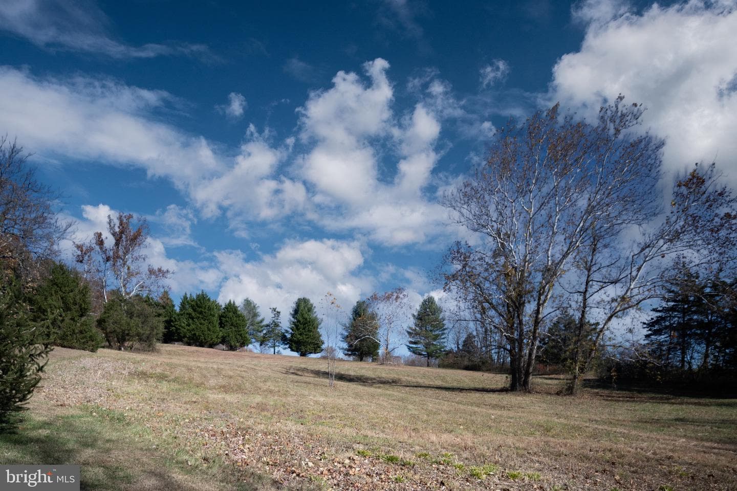 560 Richmond Road photo 132