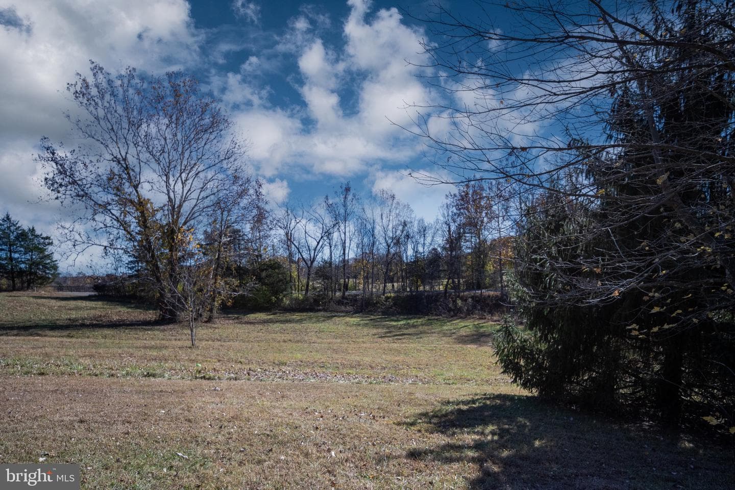 560 Richmond Road photo 133