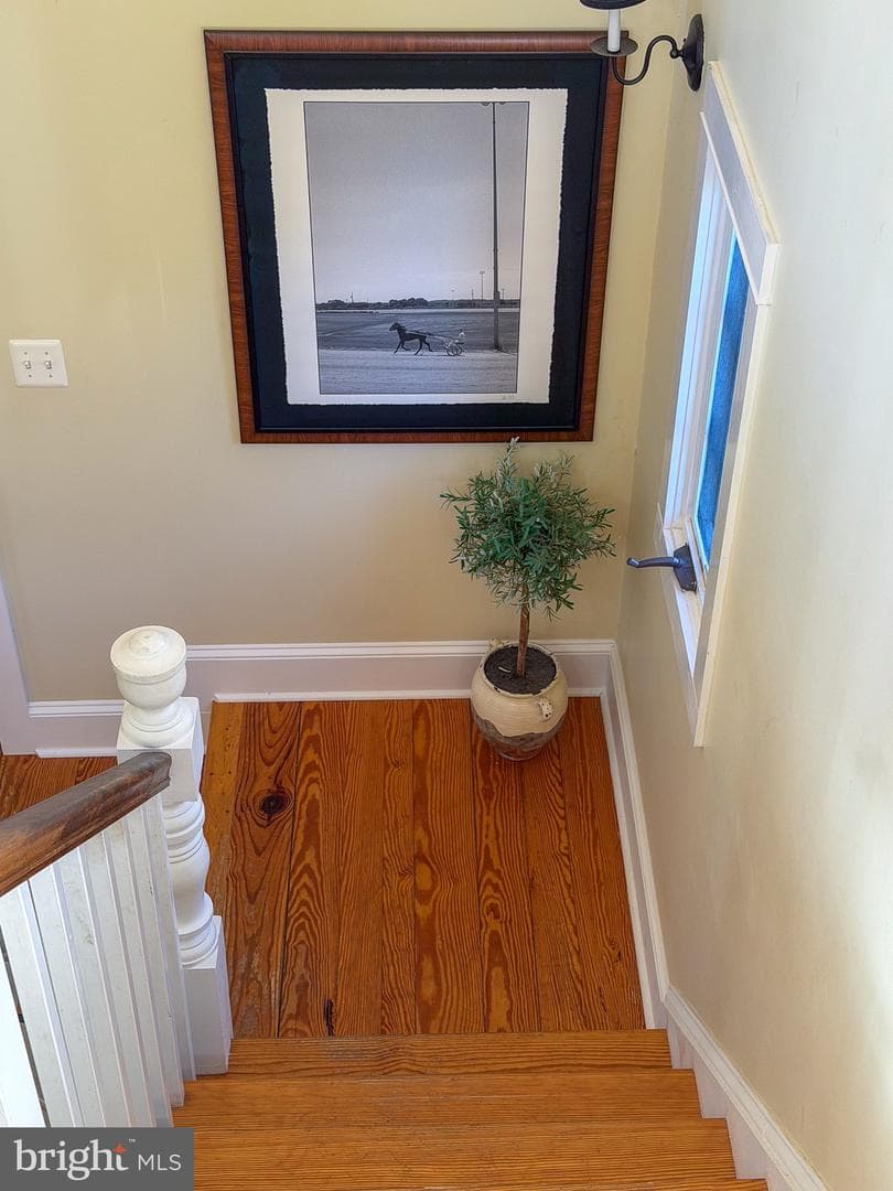 560 Richmond Road photo 82