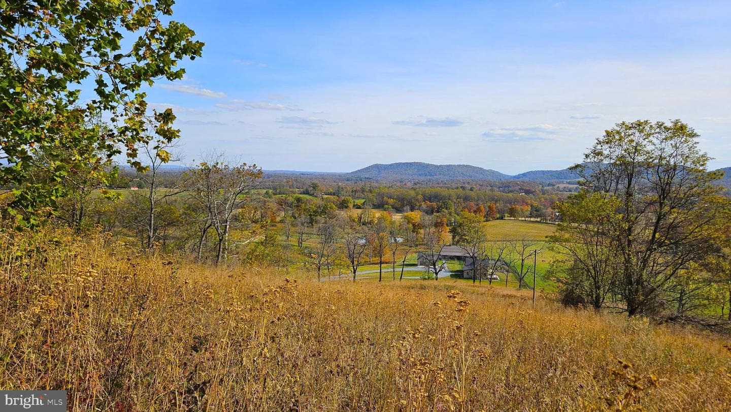 63 Riley Hollow Road photo 81