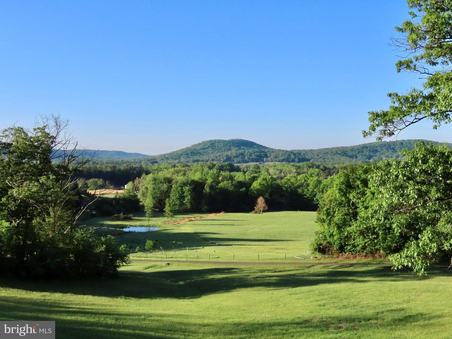 65 Clark Lane photo 6
