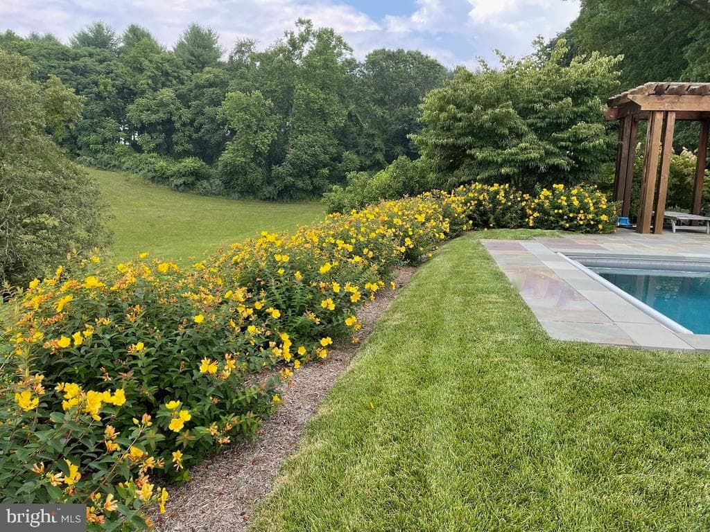 643 Richmond Road photo 38