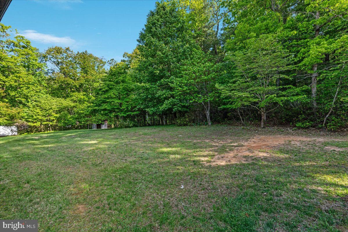 146 Lizzie Mills Road photo 61