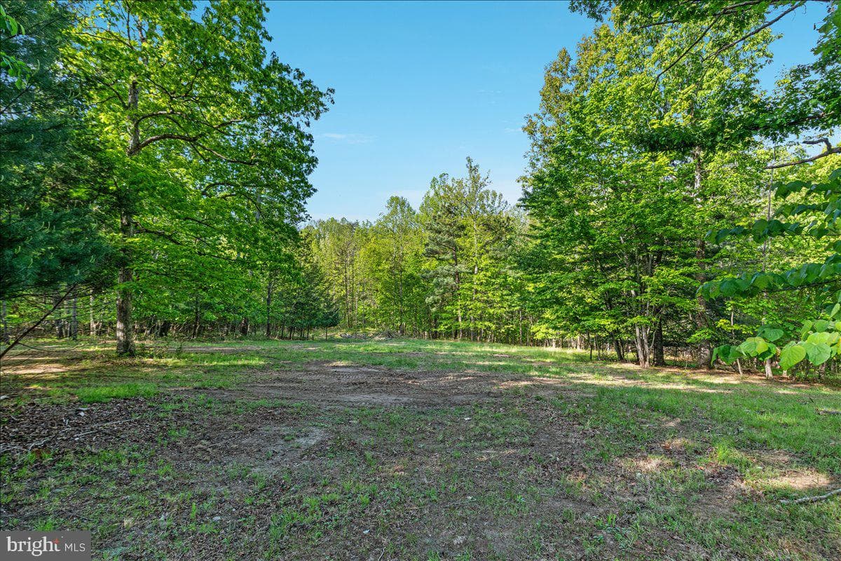 146 Lizzie Mills Road photo 66