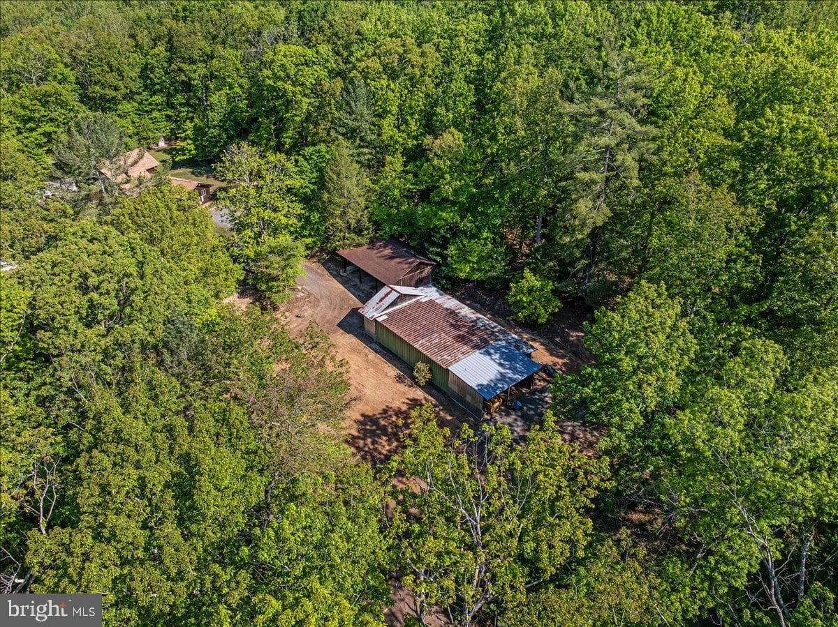 146 Lizzie Mills Road photo 81