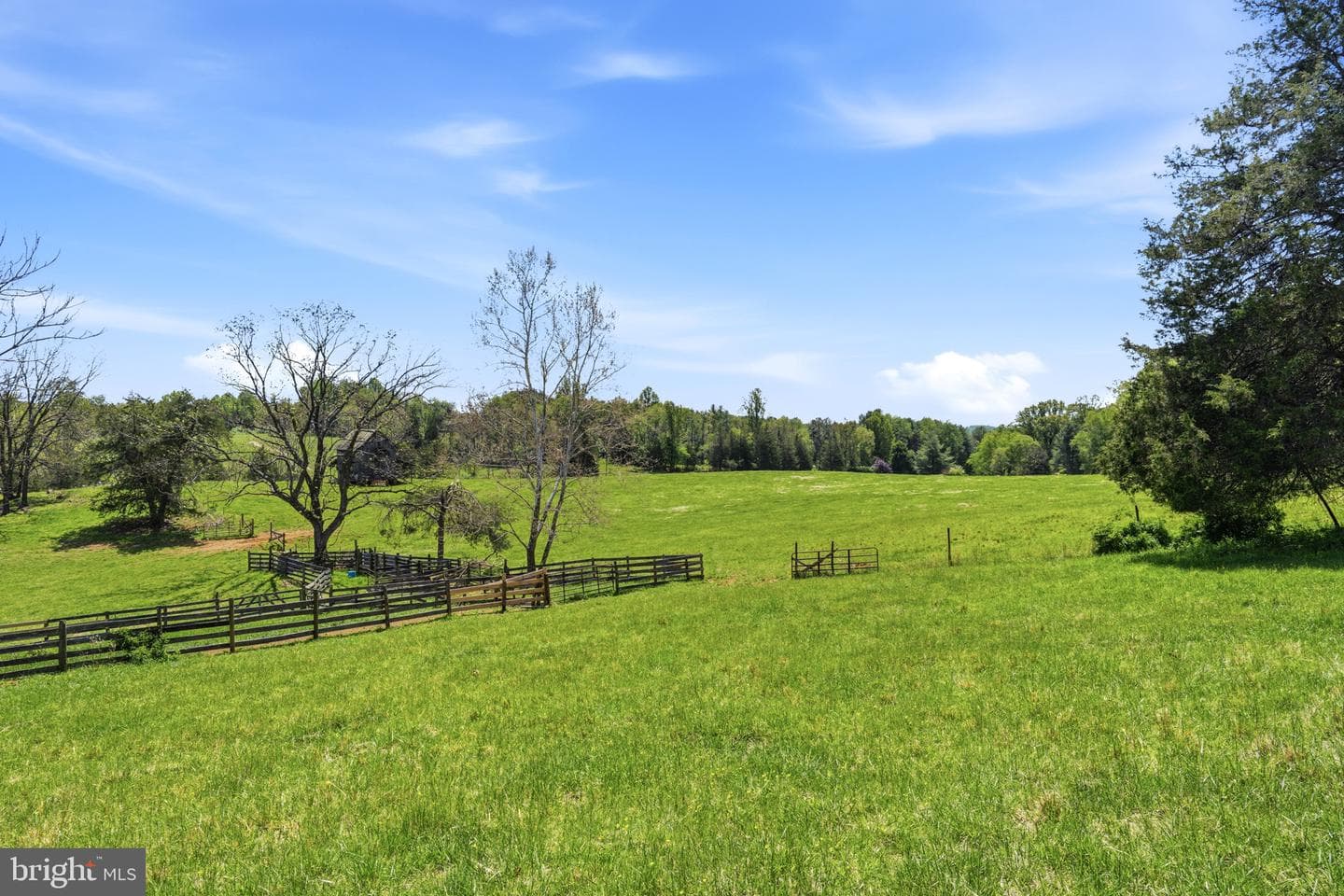 15 Chilton Lane photo 30