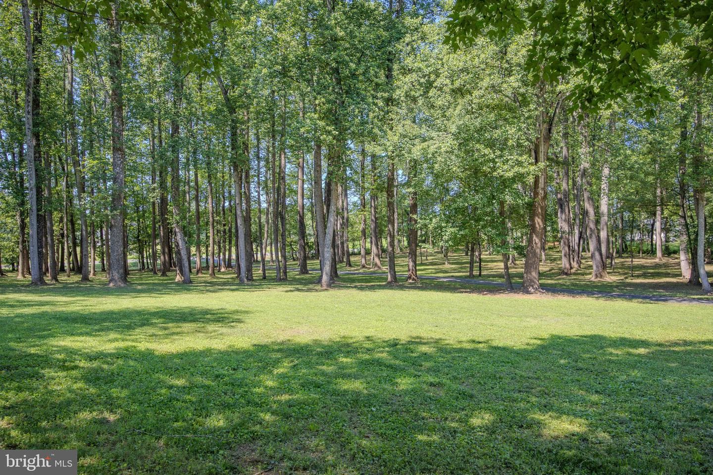 14555 Lee Highway photo 44