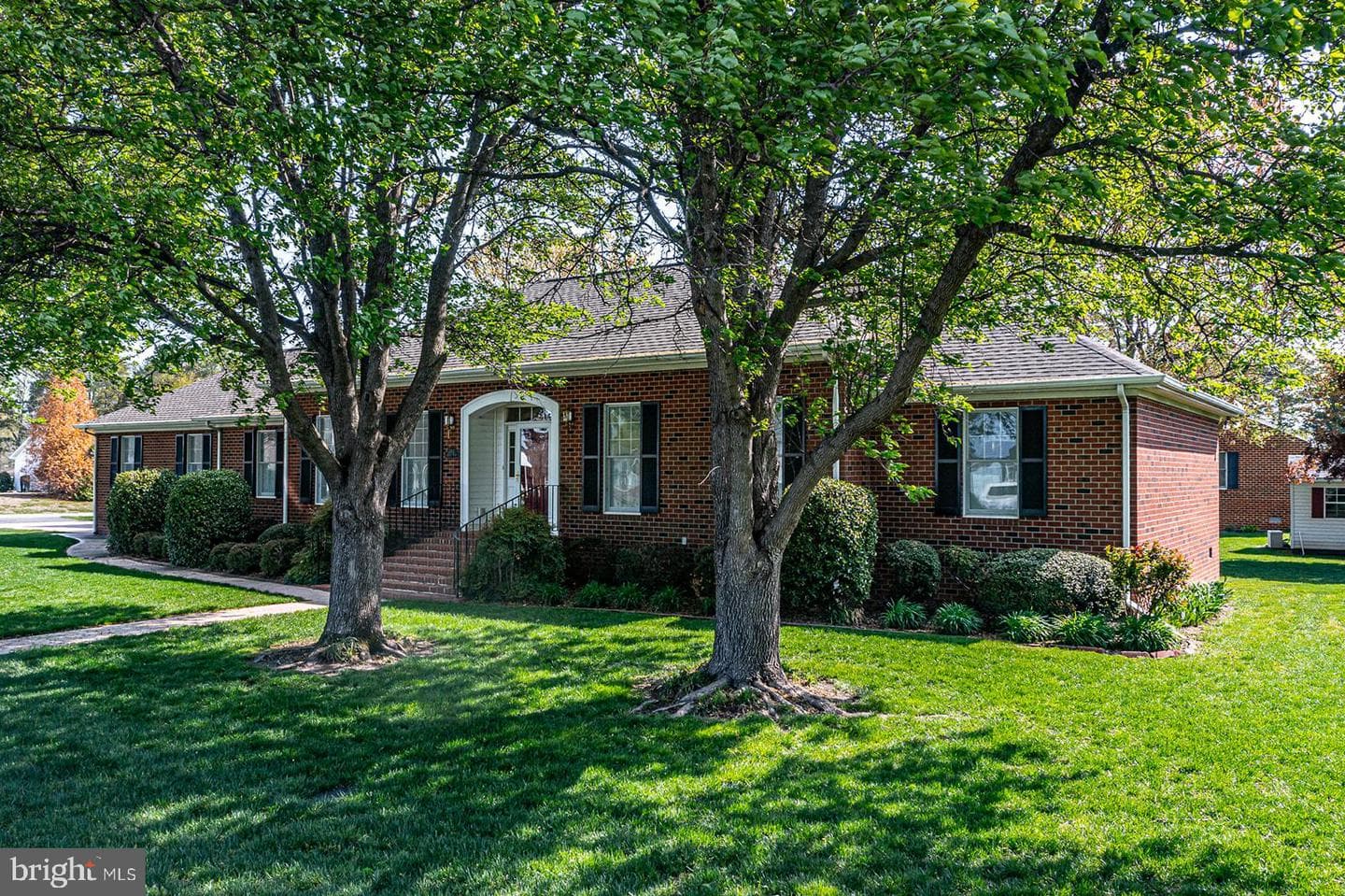 262 College Avenue photo 37