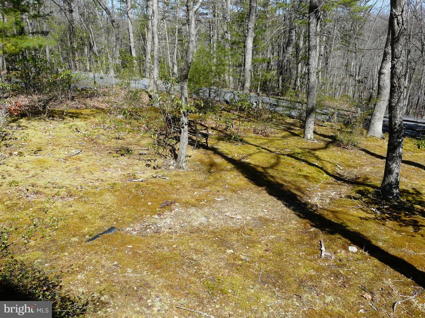 177 Connie Road photo 86