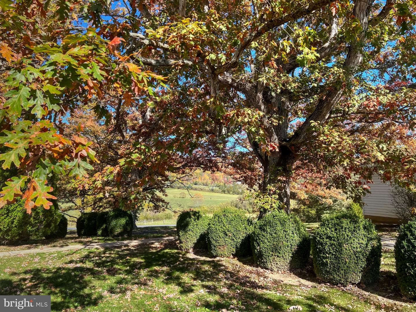 618 Miller Road photo 3