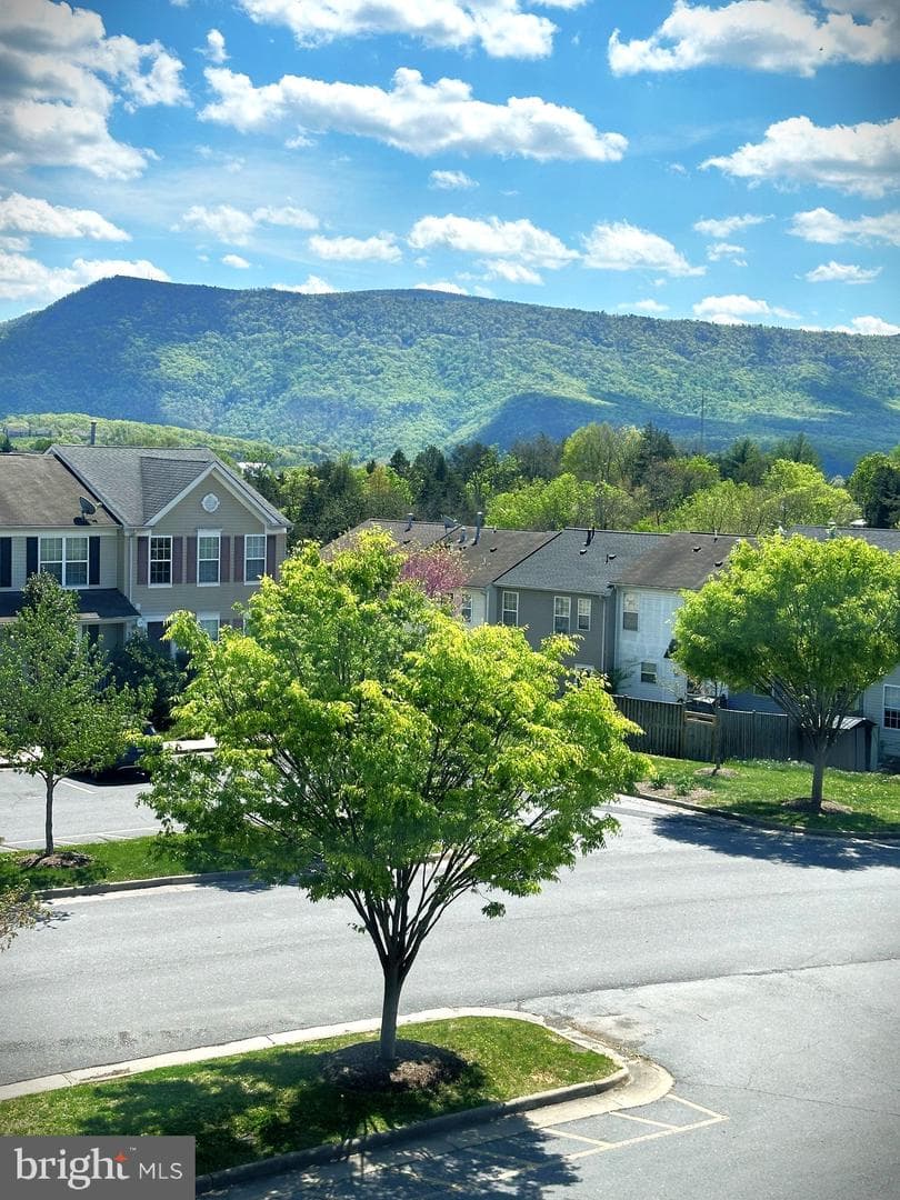 509 Frontier Fort Lane photo 42
