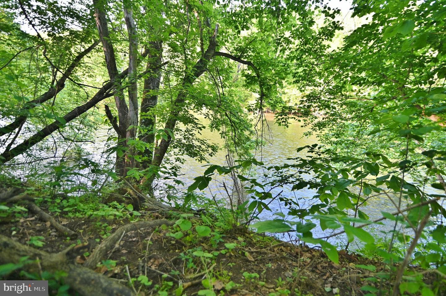 429 Hickory Lane photo 50