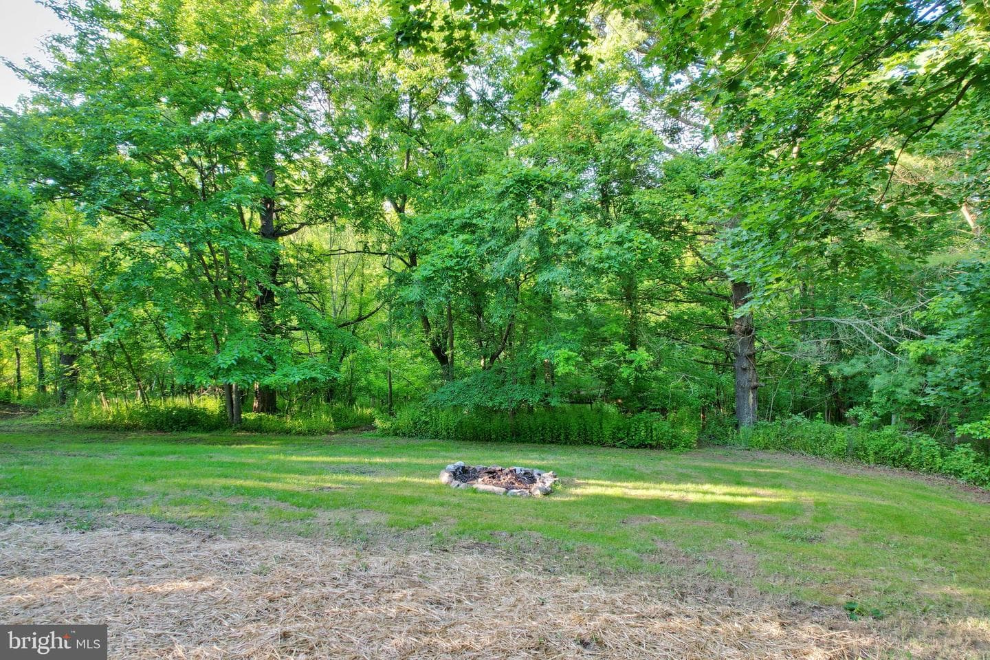 429 Hickory Lane photo 58