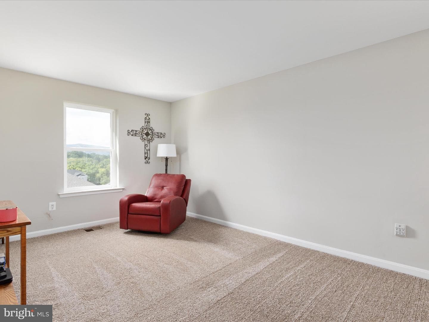 324 Cedar Spring Drive photo 19