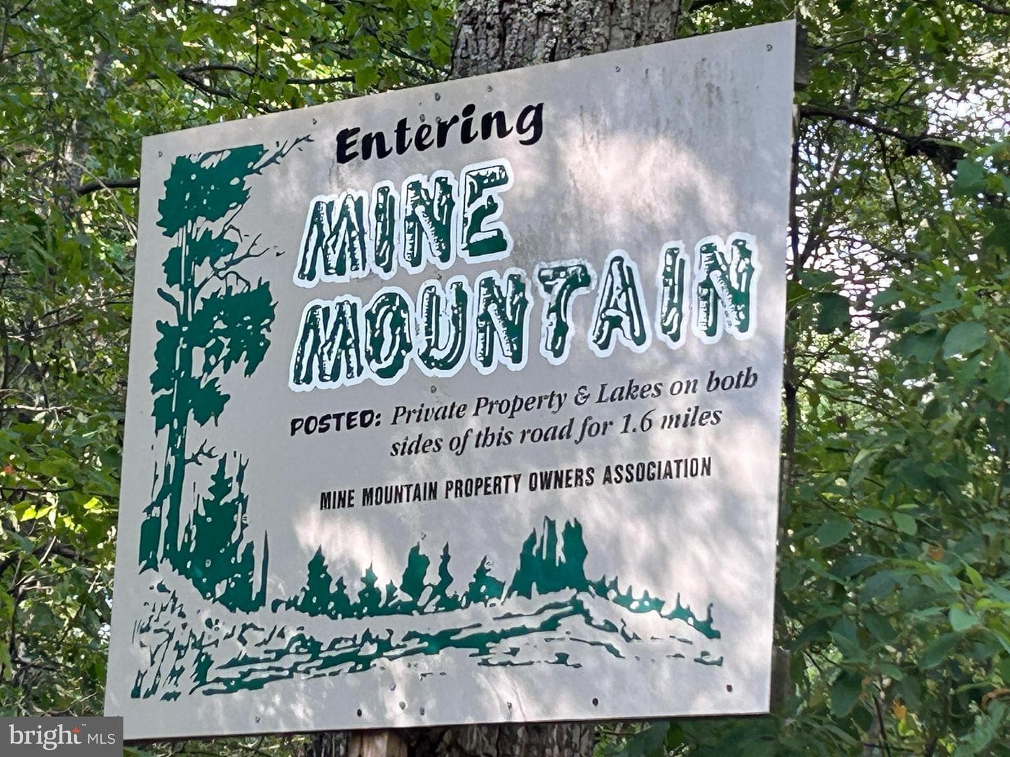 918 Mine Mountain Lane photo 19