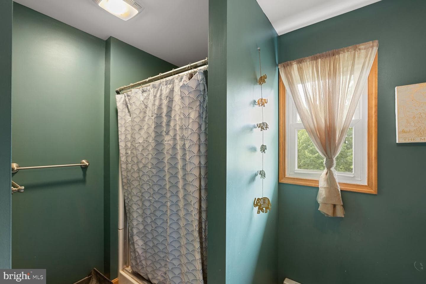 407 Sherman Road photo 18