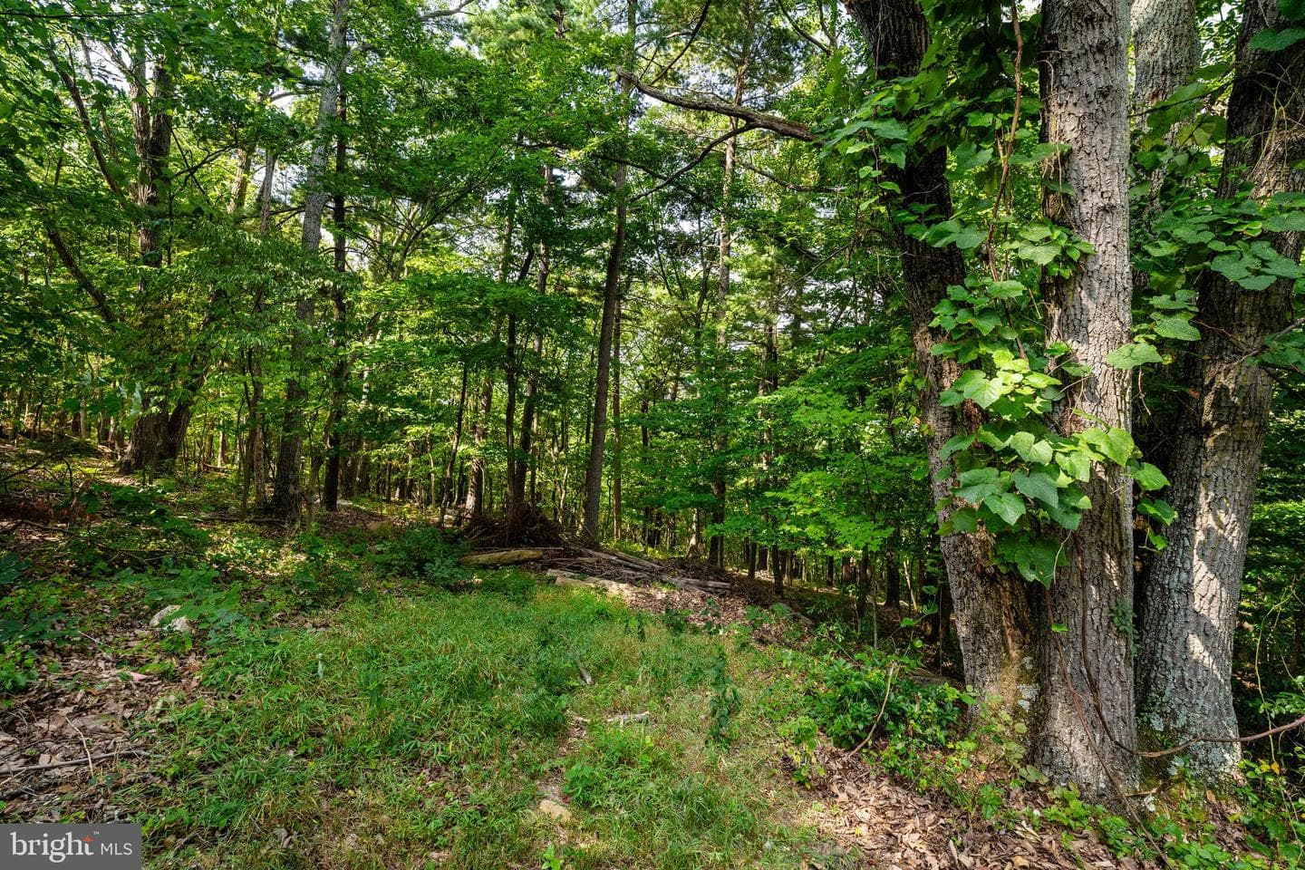 294 Rocky Mountain Lane photo 32