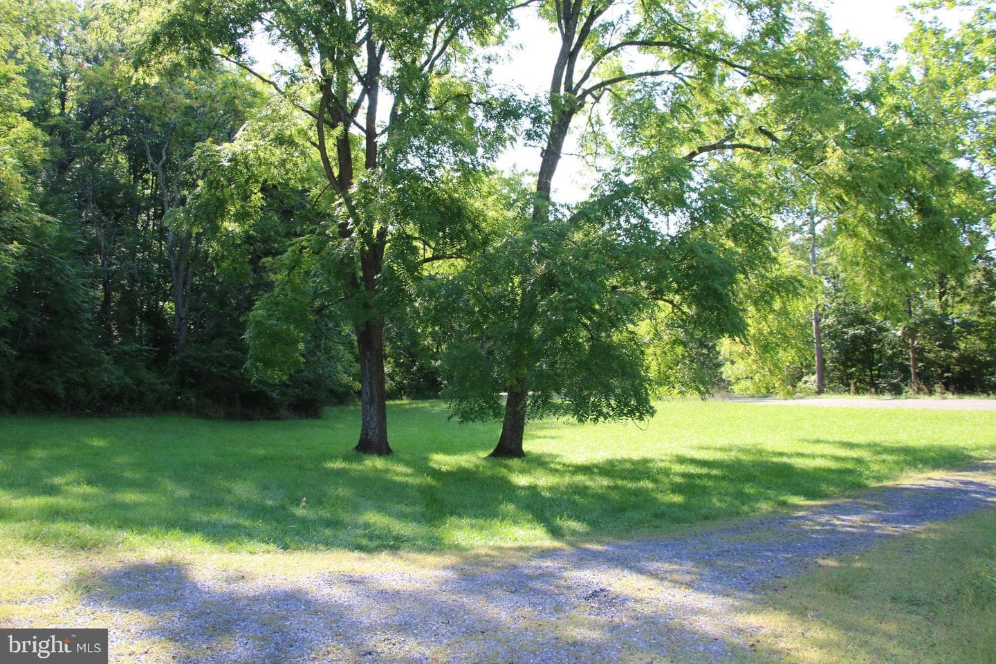 888 Wolf Gap Road photo 18