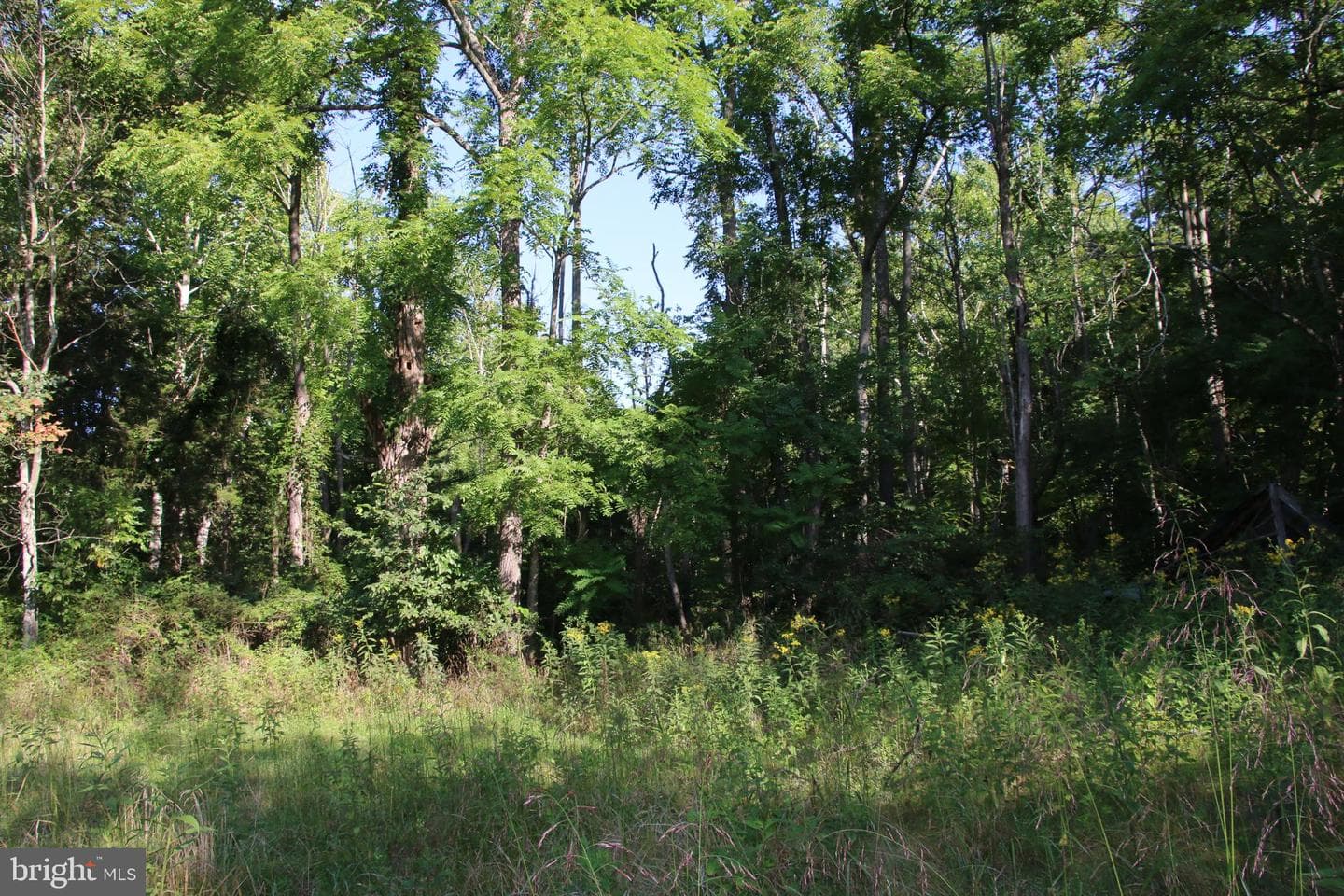 888 Wolf Gap Road photo 6