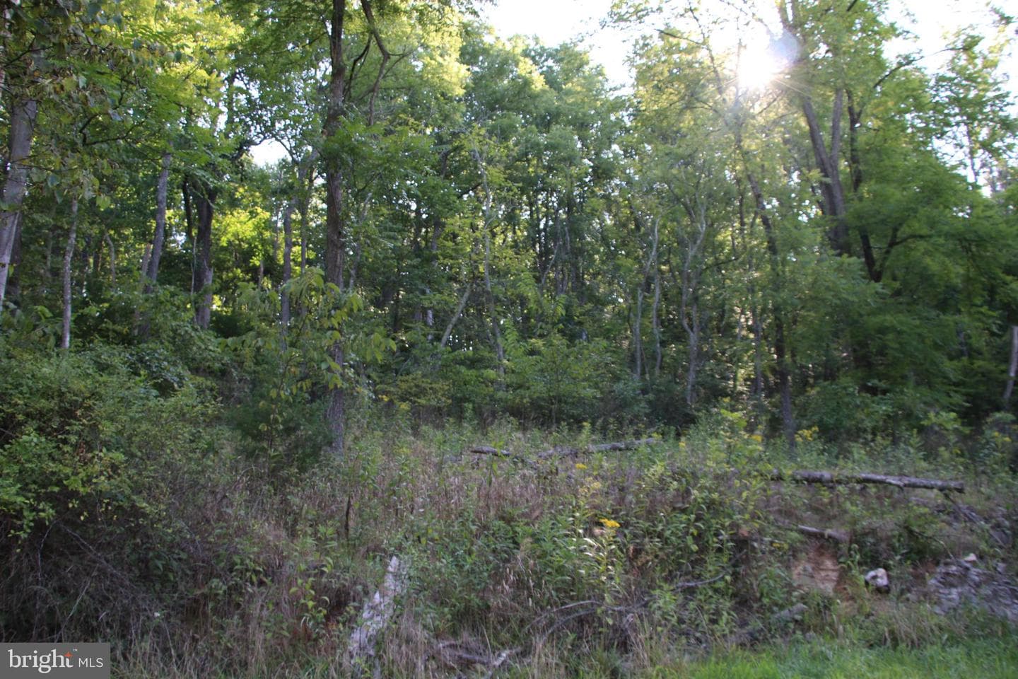 888 Wolf Gap Road photo 8