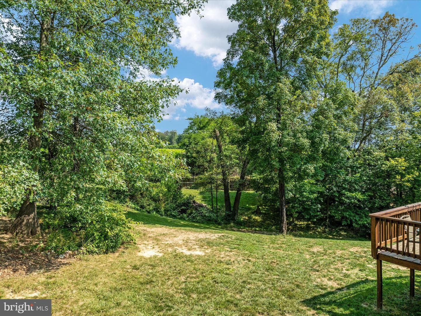 141 Black Oak Drive photo 39