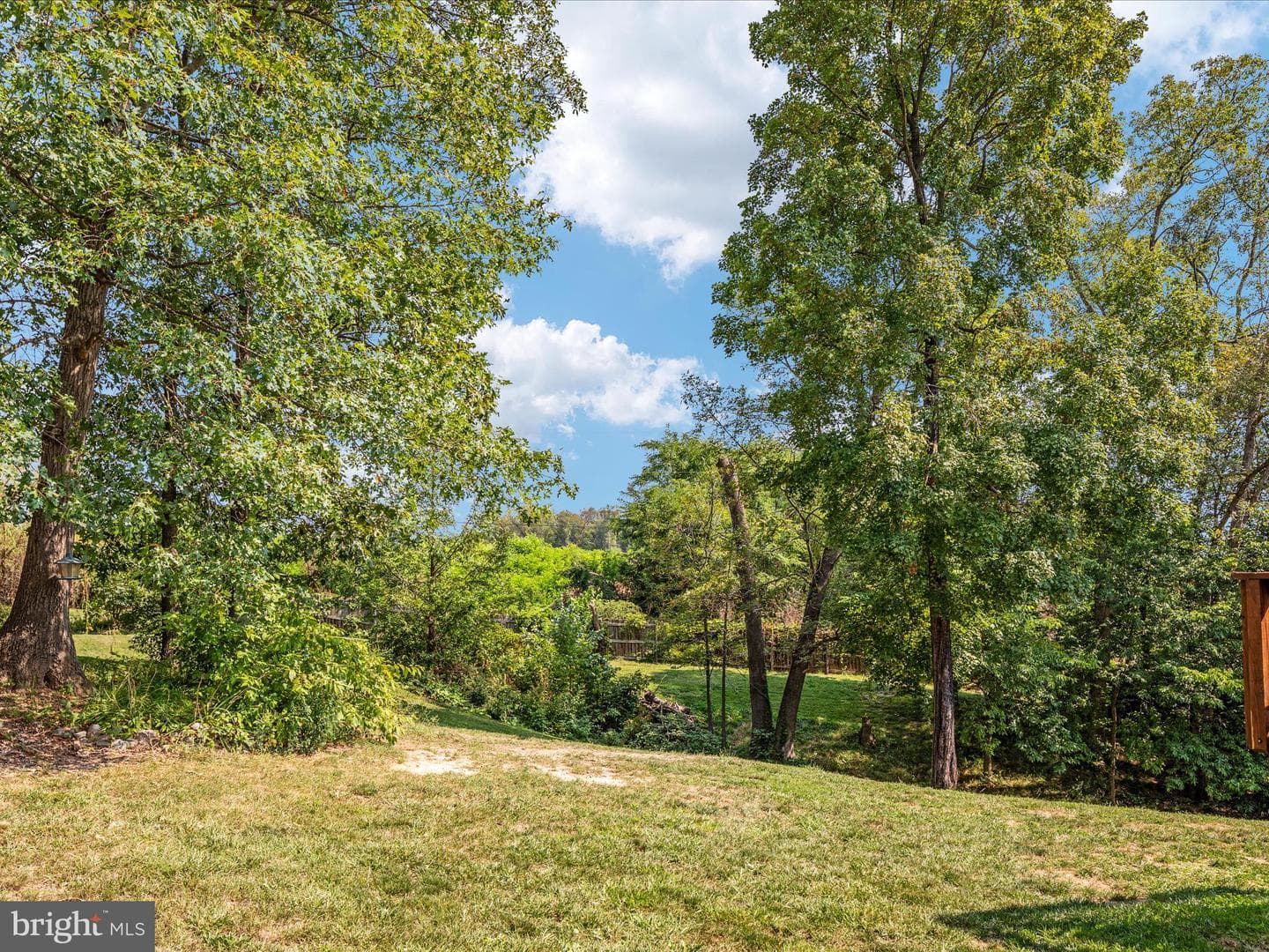 141 Black Oak Drive photo 40