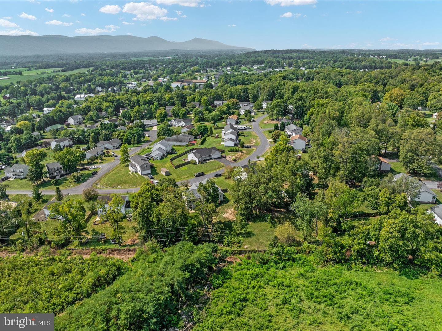 141 Black Oak Drive photo 49