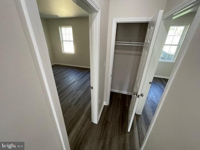 6263 Truxton Court photo 29