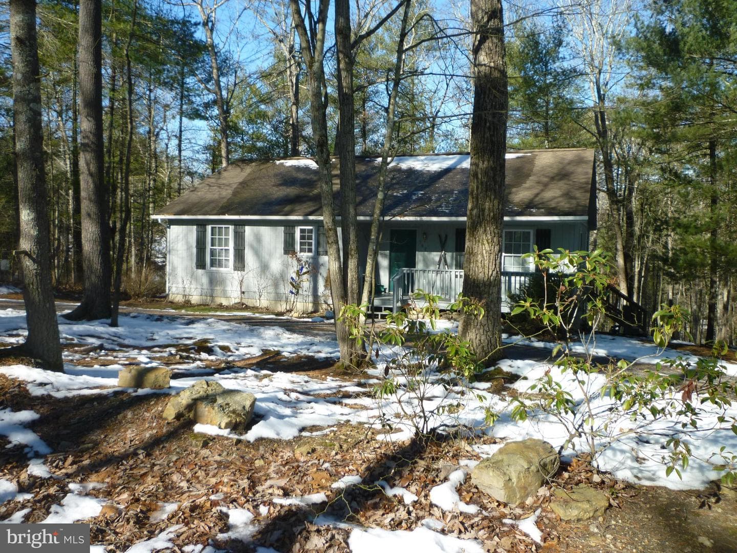 567 Basswood Lane photo 3