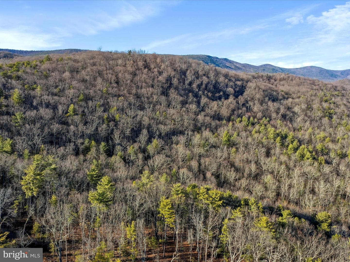 329 Miller Road photo 83