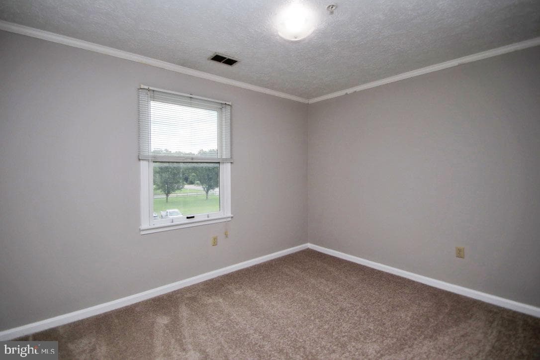 1282 Ox Road photo 12