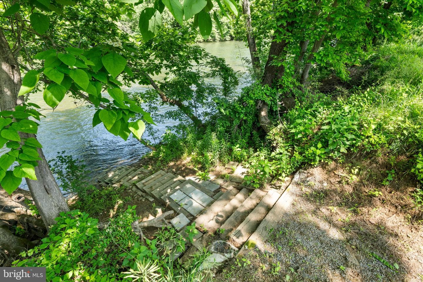 501 Forest View Road photo 67