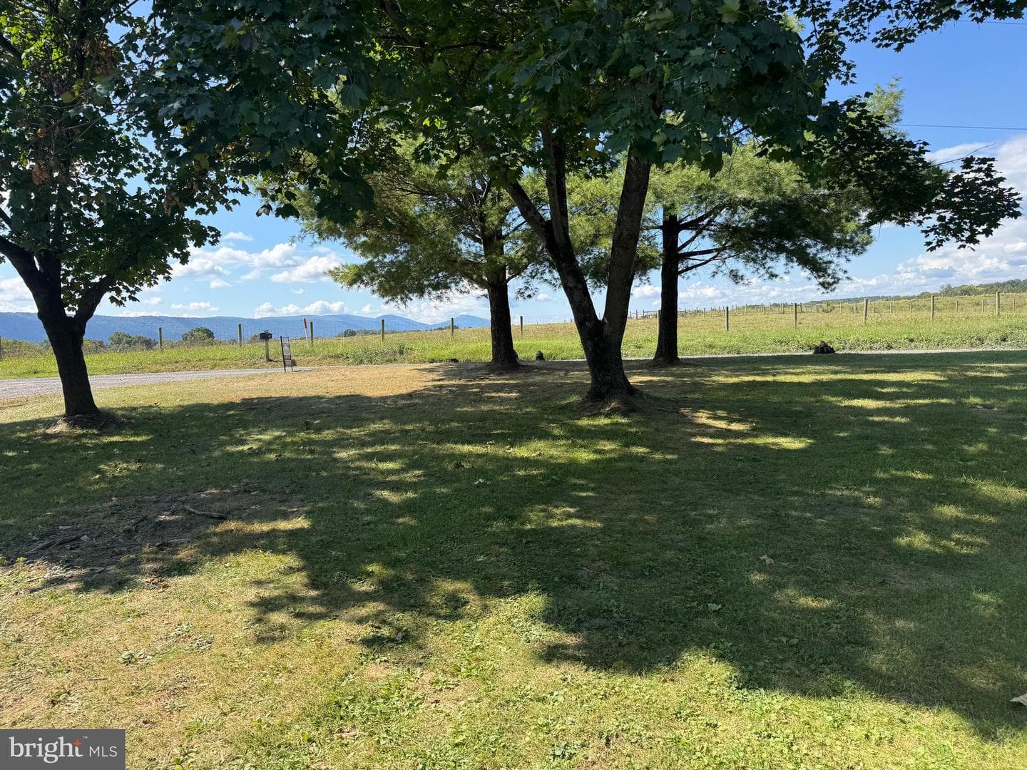 457 Tea Berry Road photo 23