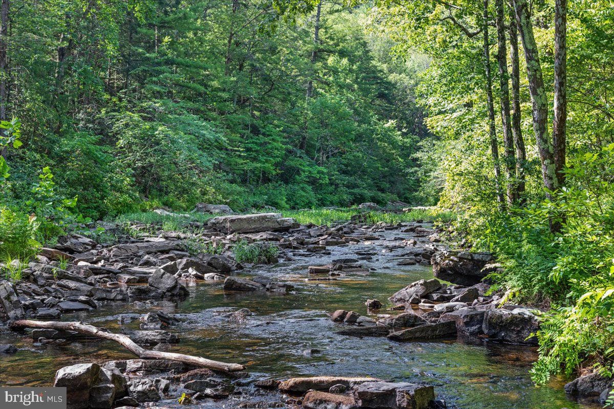 693 Many Water Lane photo 39