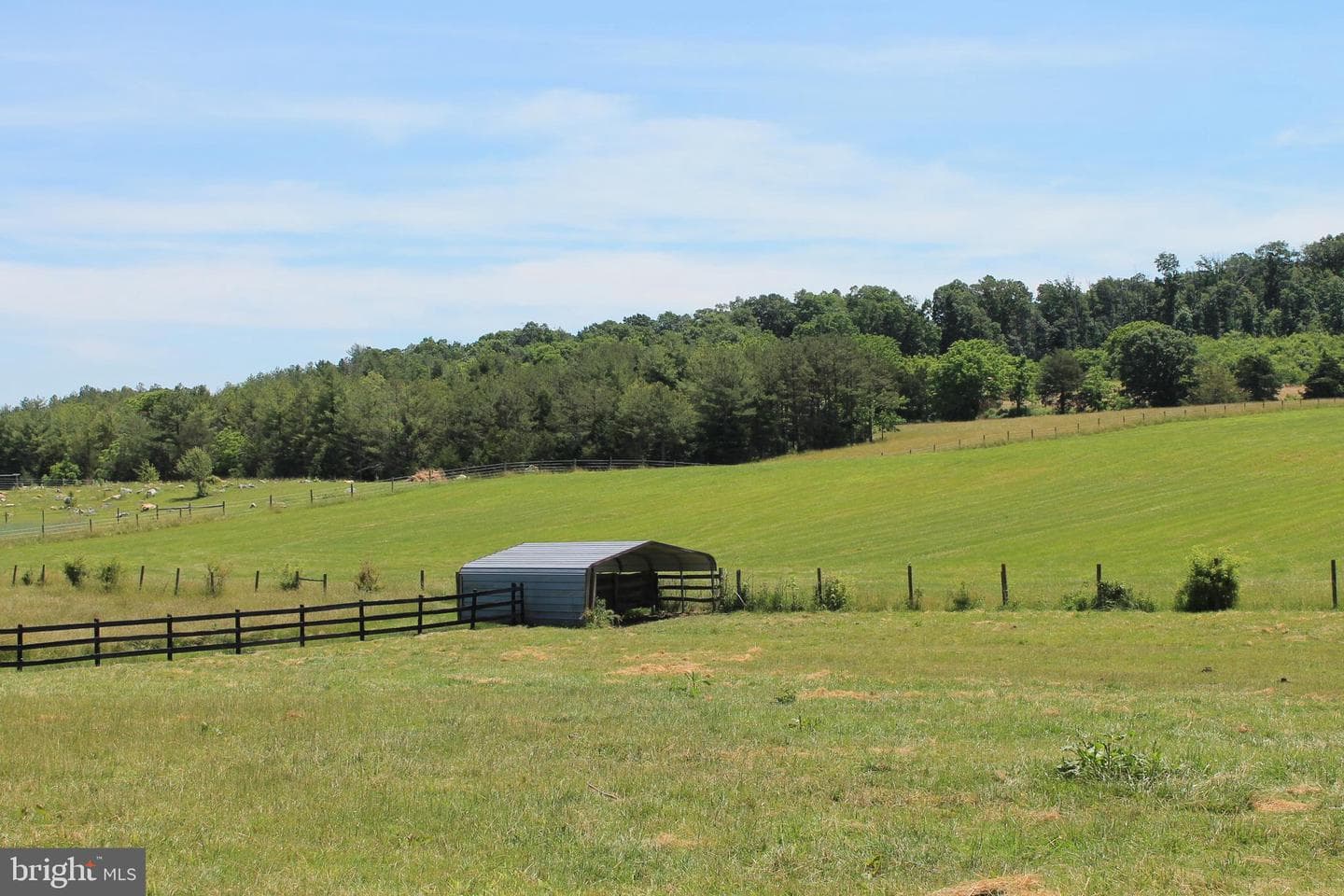 1615 Pleasant View Road photo 105