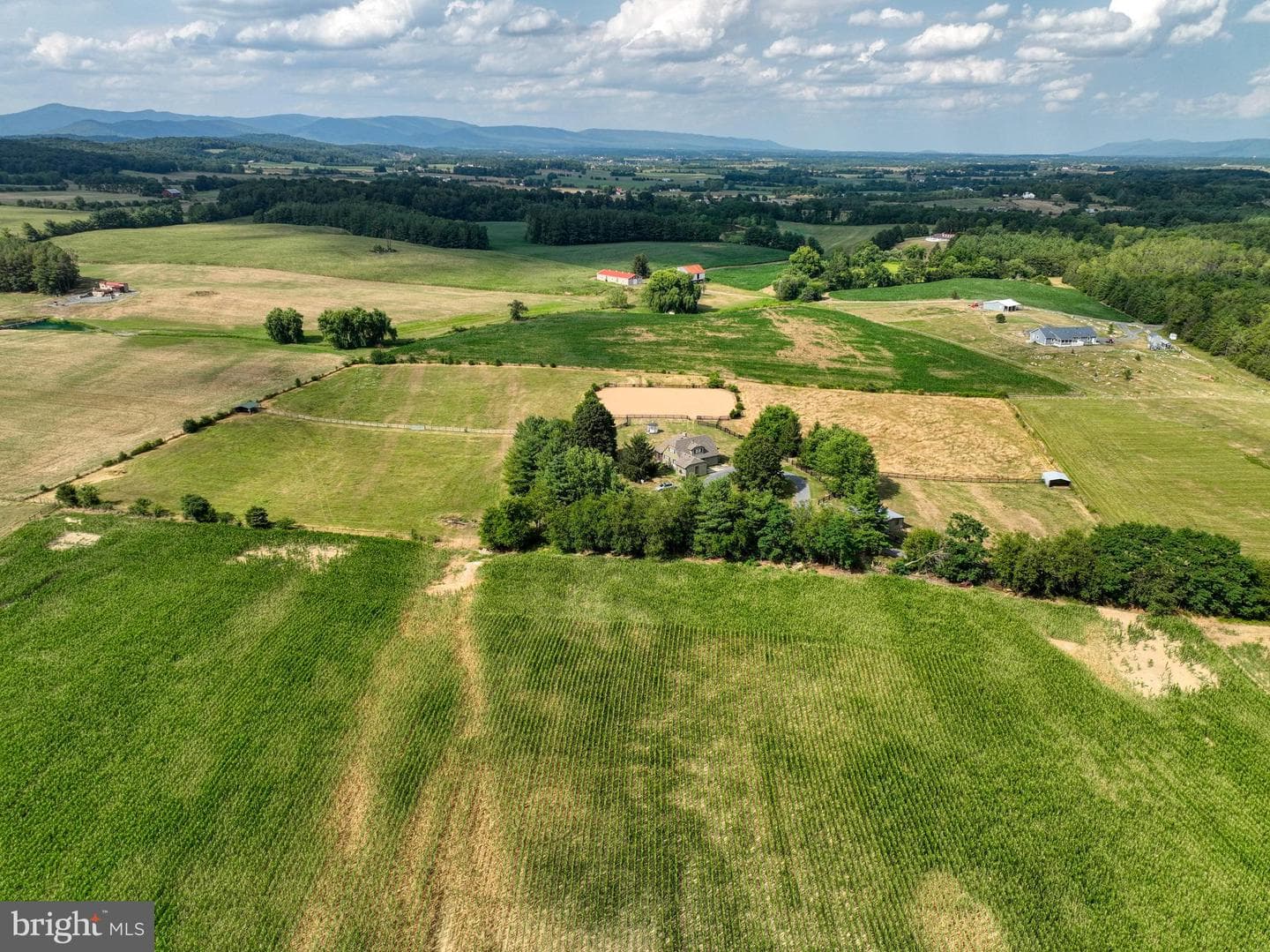 1615 Pleasant View Road photo 110
