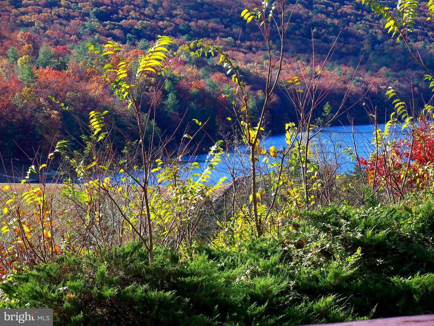 426 The Hill Rd Road #l-30 photo 3
