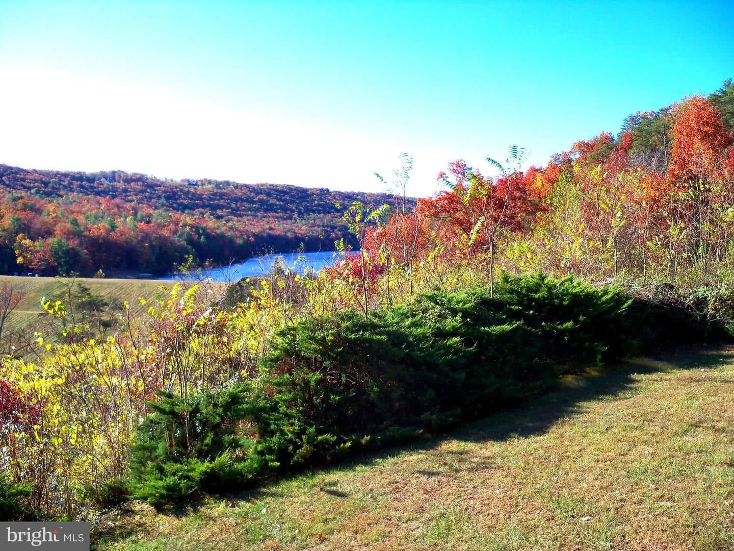 426 The Hill Rd Road #l-30 photo 4