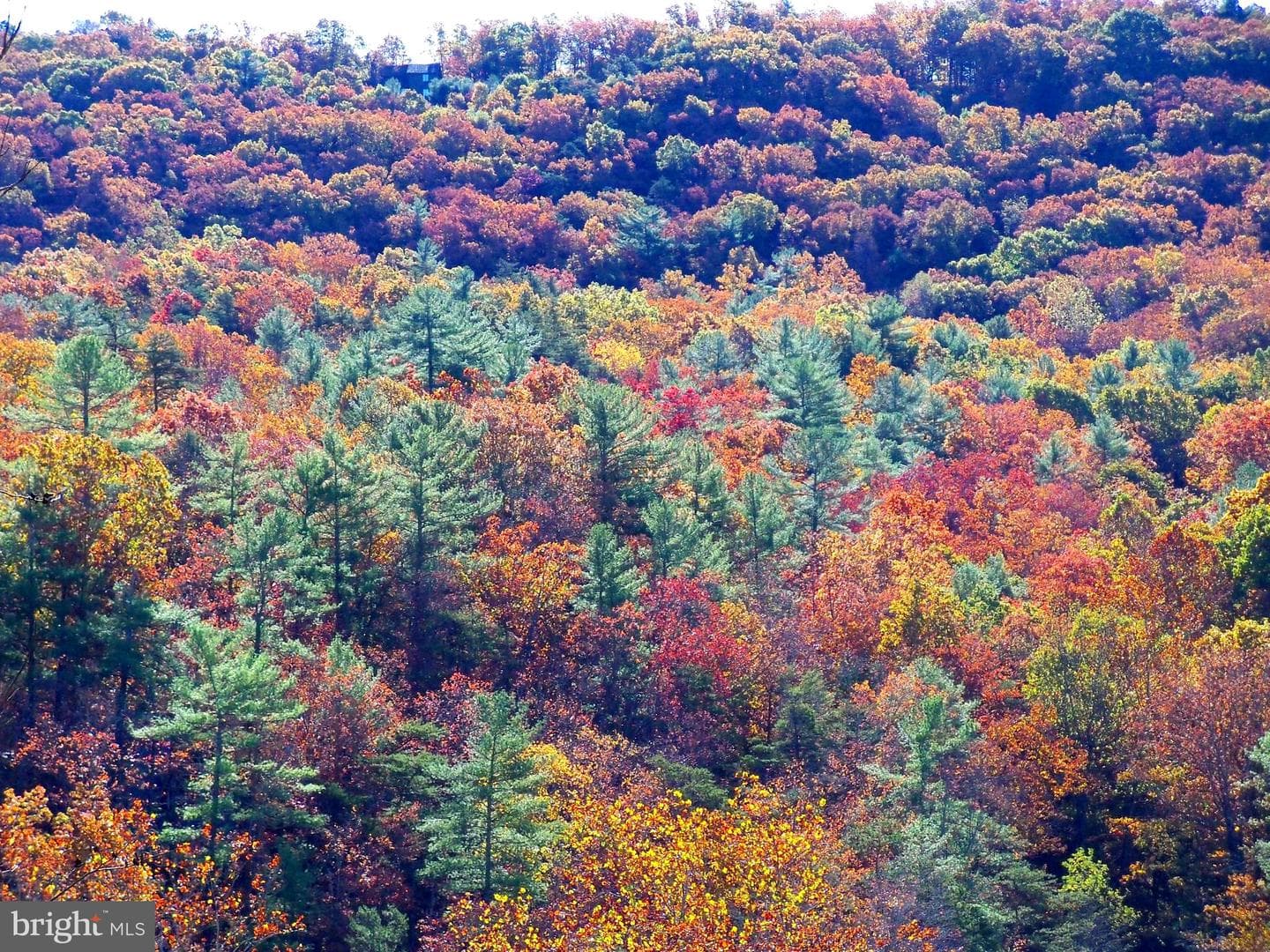 426 The Hill Rd Road #l-30 photo 6