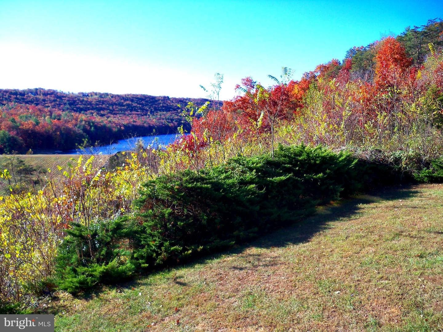 426 The Hill Rd Road #l-30 photo 7