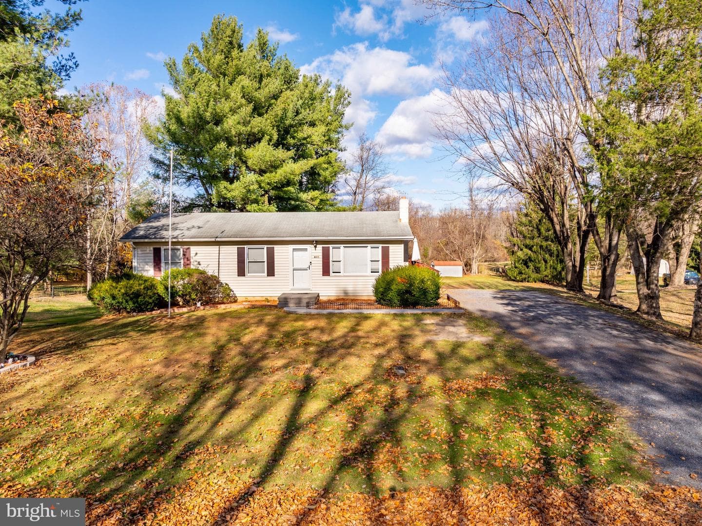 460 Massanutten Drive photo 3
