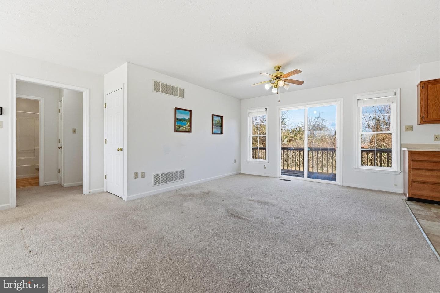 134 Dillon Court photo 12