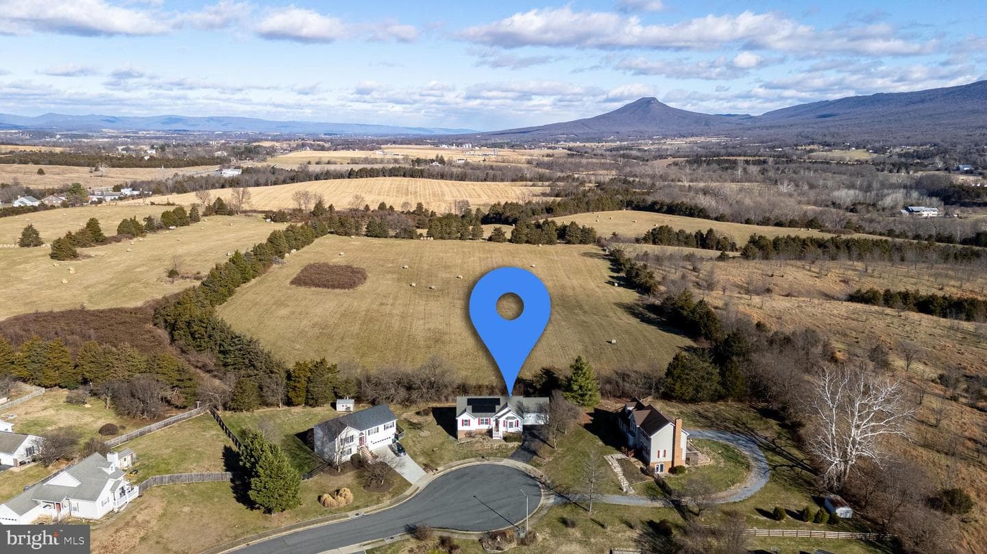 134 Dillon Court photo 46