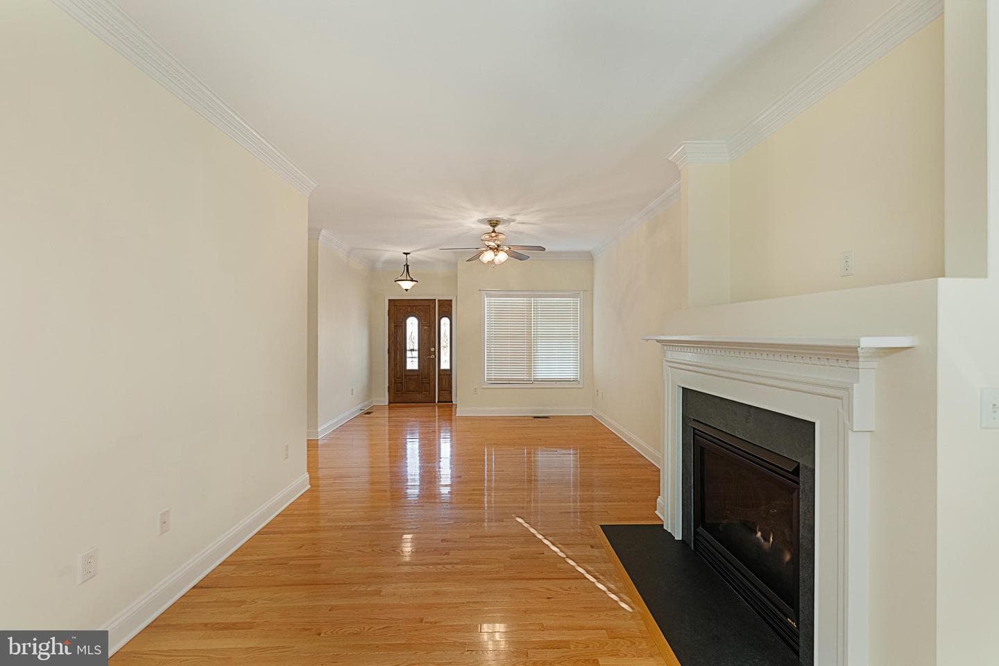 207 Donna Drive photo 13