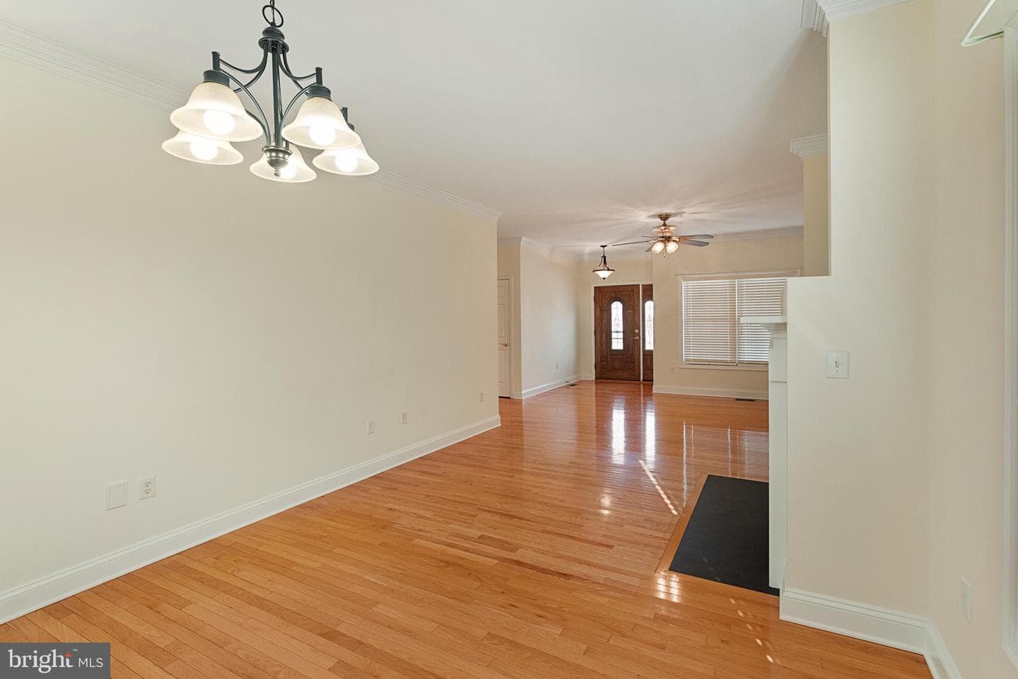 207 Donna Drive photo 15